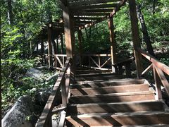 -大岭沟猕猴桃谷风景区