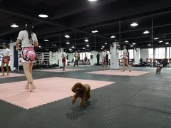 -FIGHTMAN格斗俱乐部(长宁临空店)