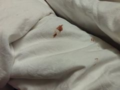 -汤里来温泉