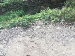-九龙潭景区