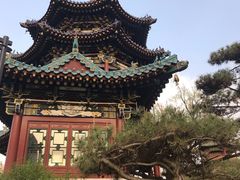 -迎泽公园