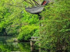 -济南大明湖景区