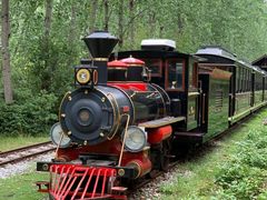 -合肥滨湖国家森林公园