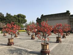 -荆川公园