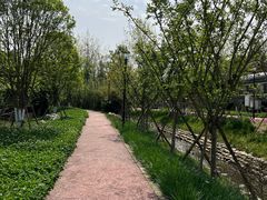 -三圣花乡旅游区