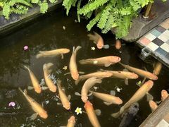 -Cuc Gach Quan Restaurant