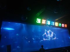 -蓬莱欧乐堡海洋极地世界