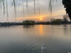 -伊隆斋(什刹海店)