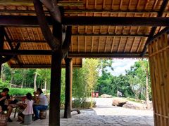 -阳台山自然风景区