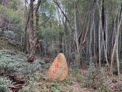 -北仑森林植物园