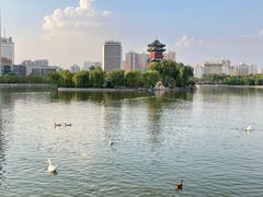 -迎泽公园