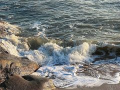 -溪岸路花鸟市场