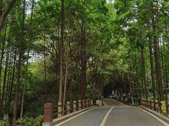 -新洲生态园