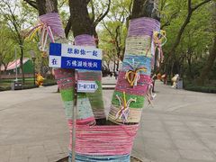 -万佛湖风景区