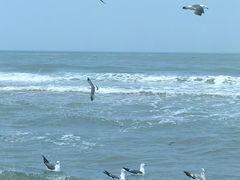 -那香海钻石沙滩浴场