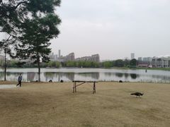 -武汉园博园(武汉自然博物馆)