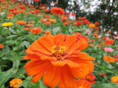 -艾溪湖湿地公园