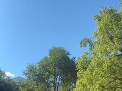 -陕西省红河谷森林公园