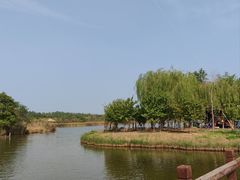 -西青郊野公园