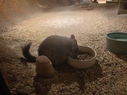 -酷嗒动物文化乐园(cutezoo西溪乐天城店)