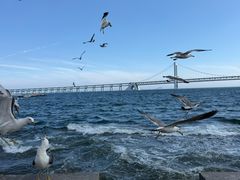 -星海广场