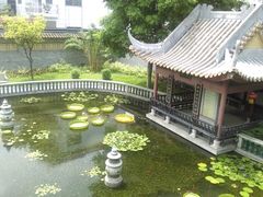 -碧江金楼