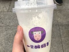 -一只酸奶牛(八一路店)