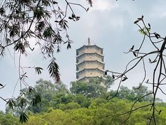 -深圳国际园林花卉博览园