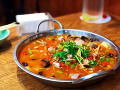 鲜锅兔-盐与味葱葱鲫鱼•自贡菜江湖菜(春熙店)