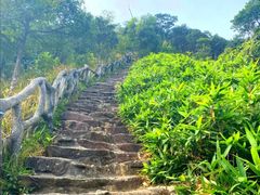 -梧桐山风景名胜区