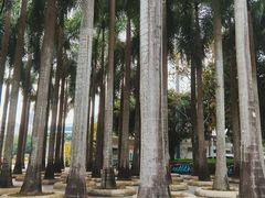 -深圳国际园林花卉博览园