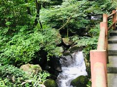 -藏龙百瀑风景区