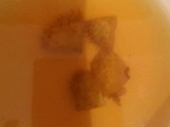 -黔蘑菇四季餐厅(观山湖店)