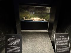-亳州博物馆