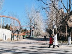 -朝阳公园游乐园