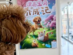 -美联众合爱康动物医院•复杂内科•肿瘤科•牙科•腔镜诊疗中心