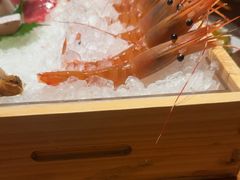 -月龍吟(朝龙汇店)