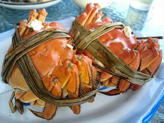 -水岸居湖景农家乐·阳澄湖大闸蟹