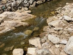 -王顺山国家森林公园