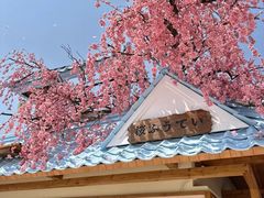 -Blue Concept Cafe&Farm·關於藍