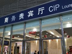 -新桥机场易登机贵宾服务