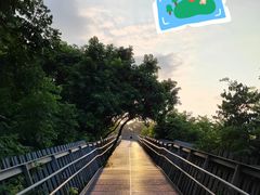 -福道