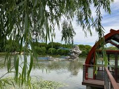 -上海鲜花港