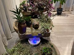 -东海森林温泉度假酒店