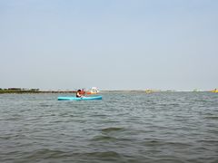 -碧海金沙
