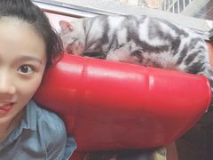 -咖法森林·咖啡  酒吧(天河店)