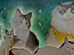 -猫腻·猫咖·撸猫馆(星光大道店)