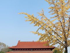 -天静宫