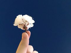 -港悦广场
