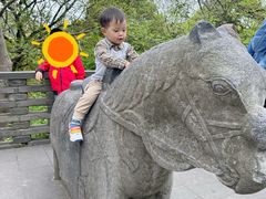 -上海佘山国家森林公园西佘山园